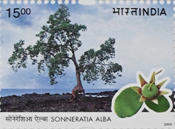 stamp-2