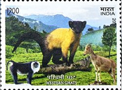 unesco-1